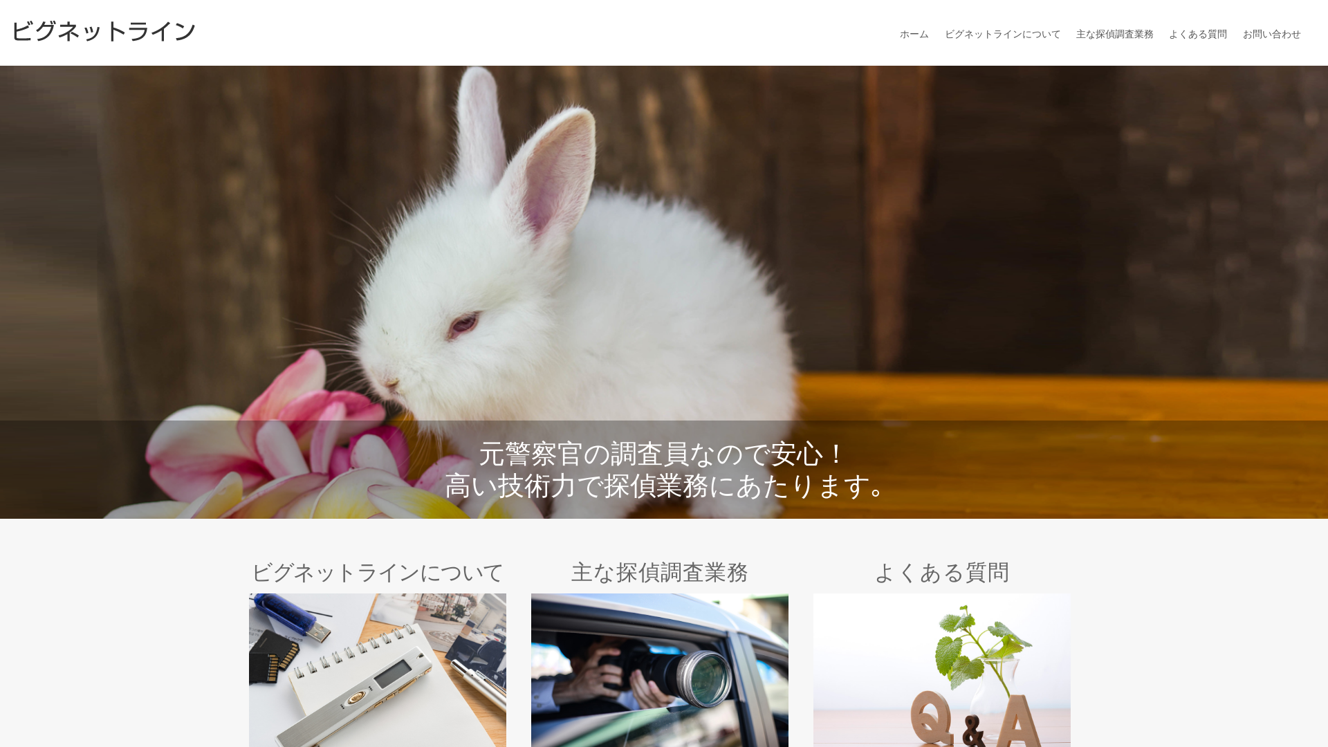 ビグネットラインの施工事例画像